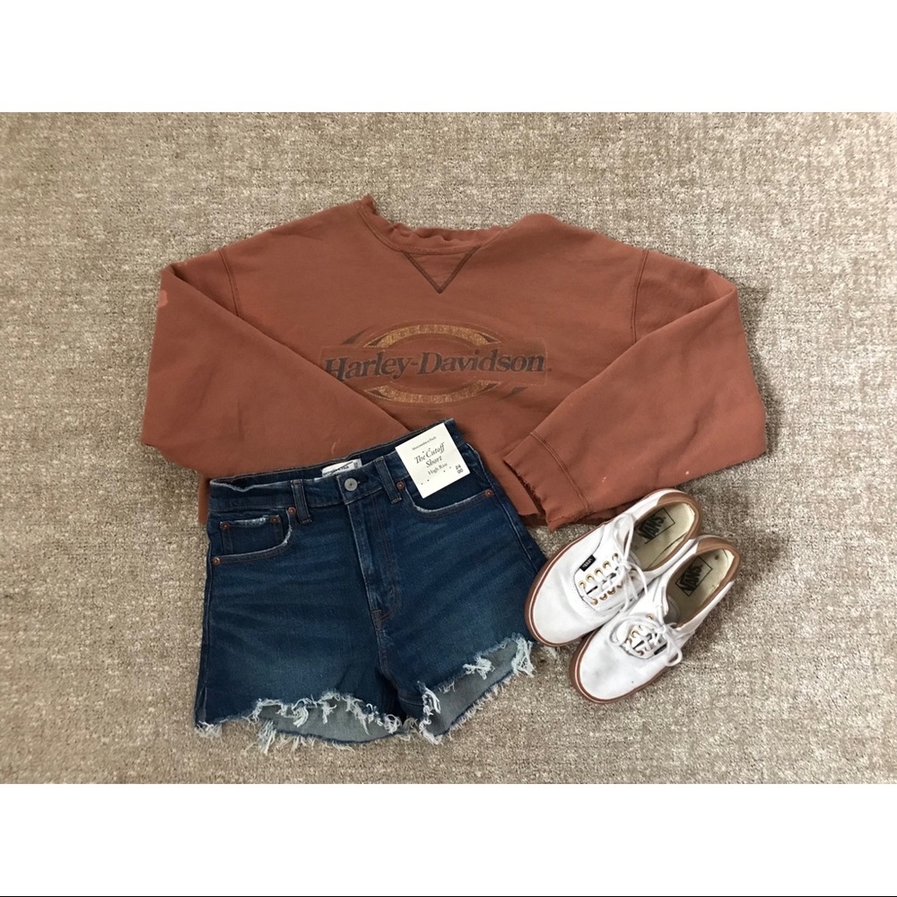 Vintage distressed Harley Davidson cropped sweatshirt